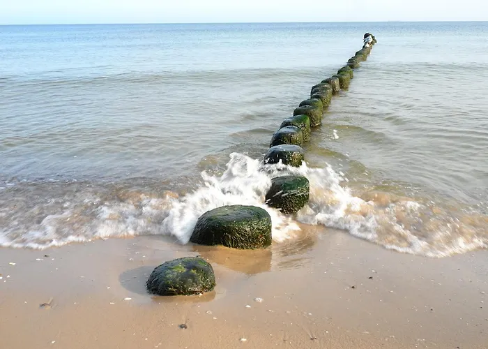 아파트 Aurum 코세로우